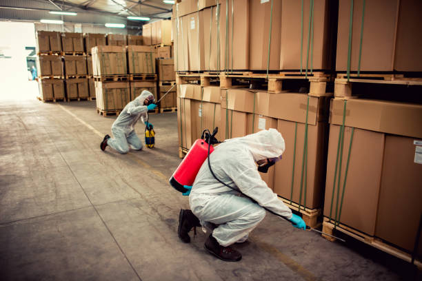Best Pest Prevention Services  in Hamilton, TX