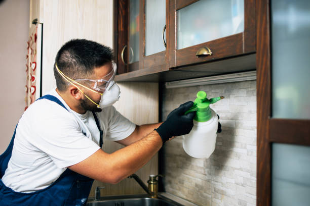 Pest Prevention Services in Hamilton, TX