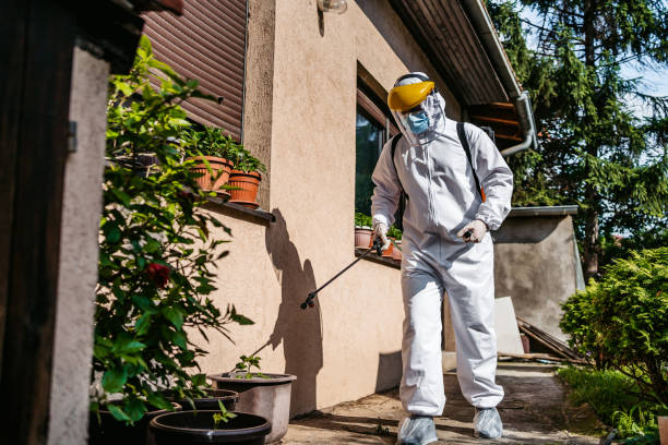 Flea Control Services in Hamilton, TX