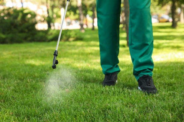 Best Rat Extermination Near Me  in Hamilton, TX