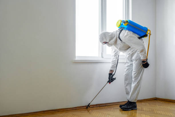 Best Cockroach Control Services  in Hamilton, TX