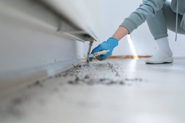 Best Affordable Pest Control Services  in Hamilton, TX